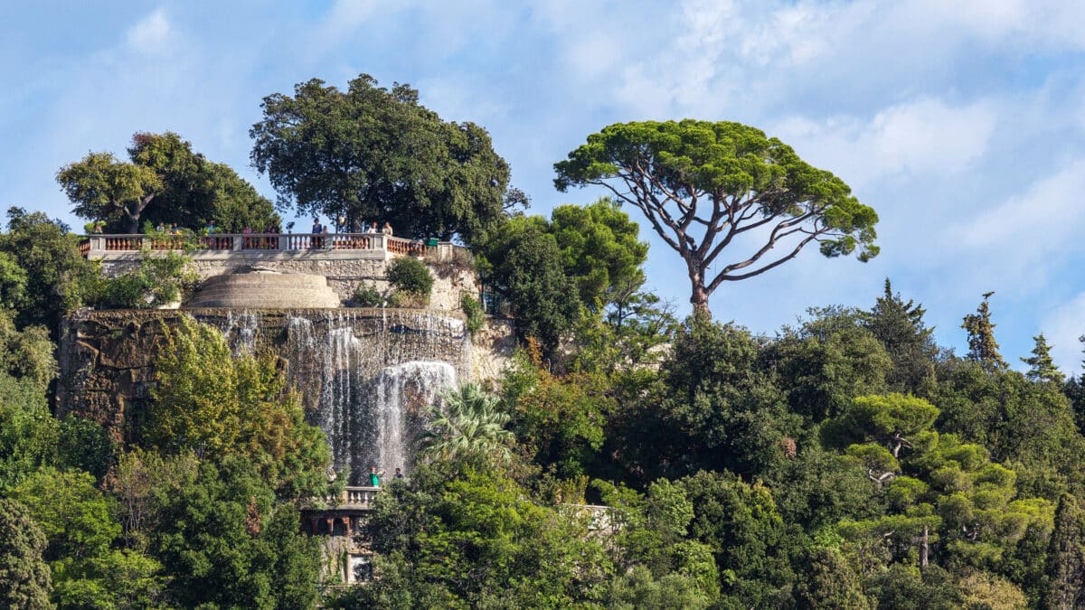 Parc de la Colline du Château