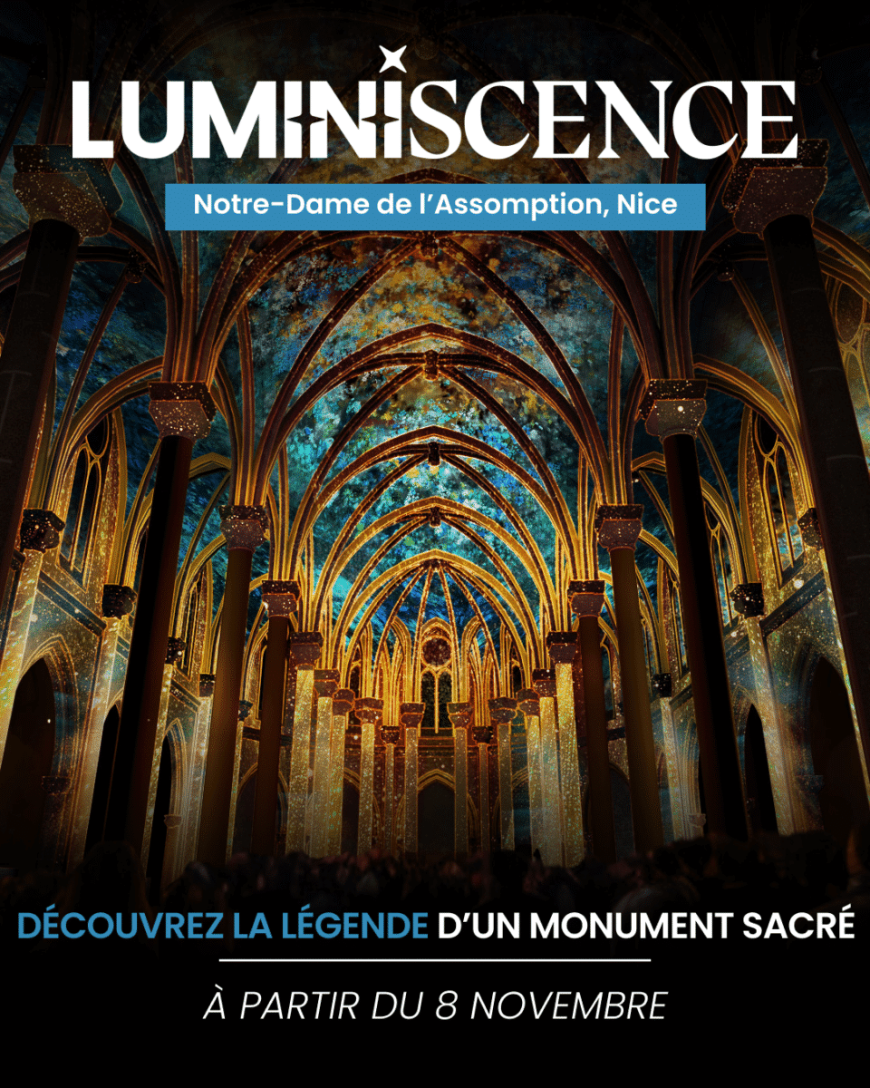 Affiche spectacle Luminiscence